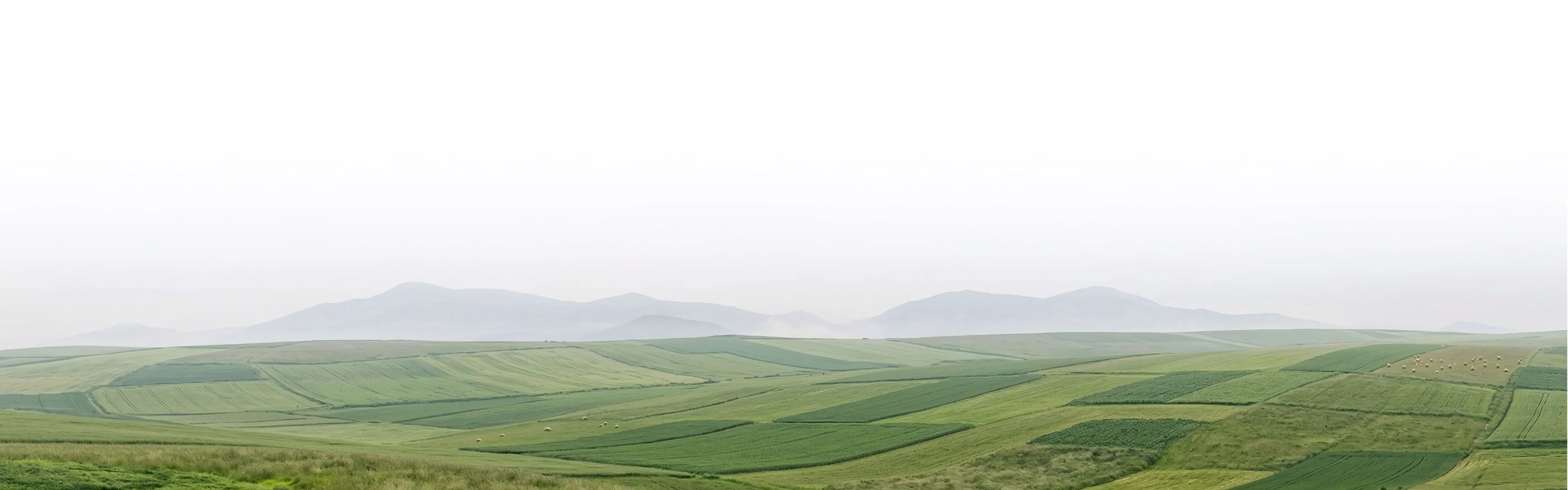 Patchwork of green fields rolling over hills toward hazy blue mountains under pale sky