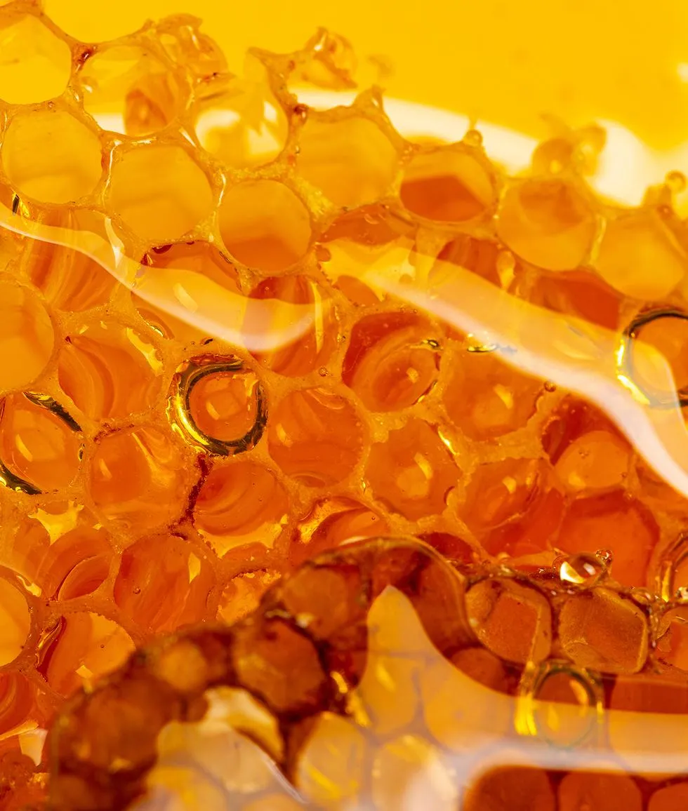 Honey jars and golden honeycomb from beekeeping