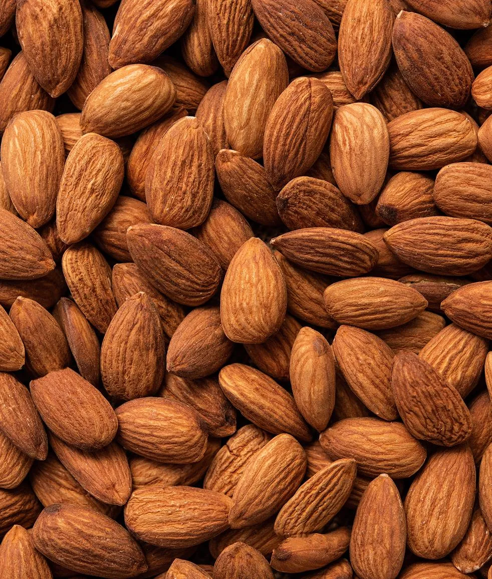 Almond trees in bloom or bearing nuts in an orchard