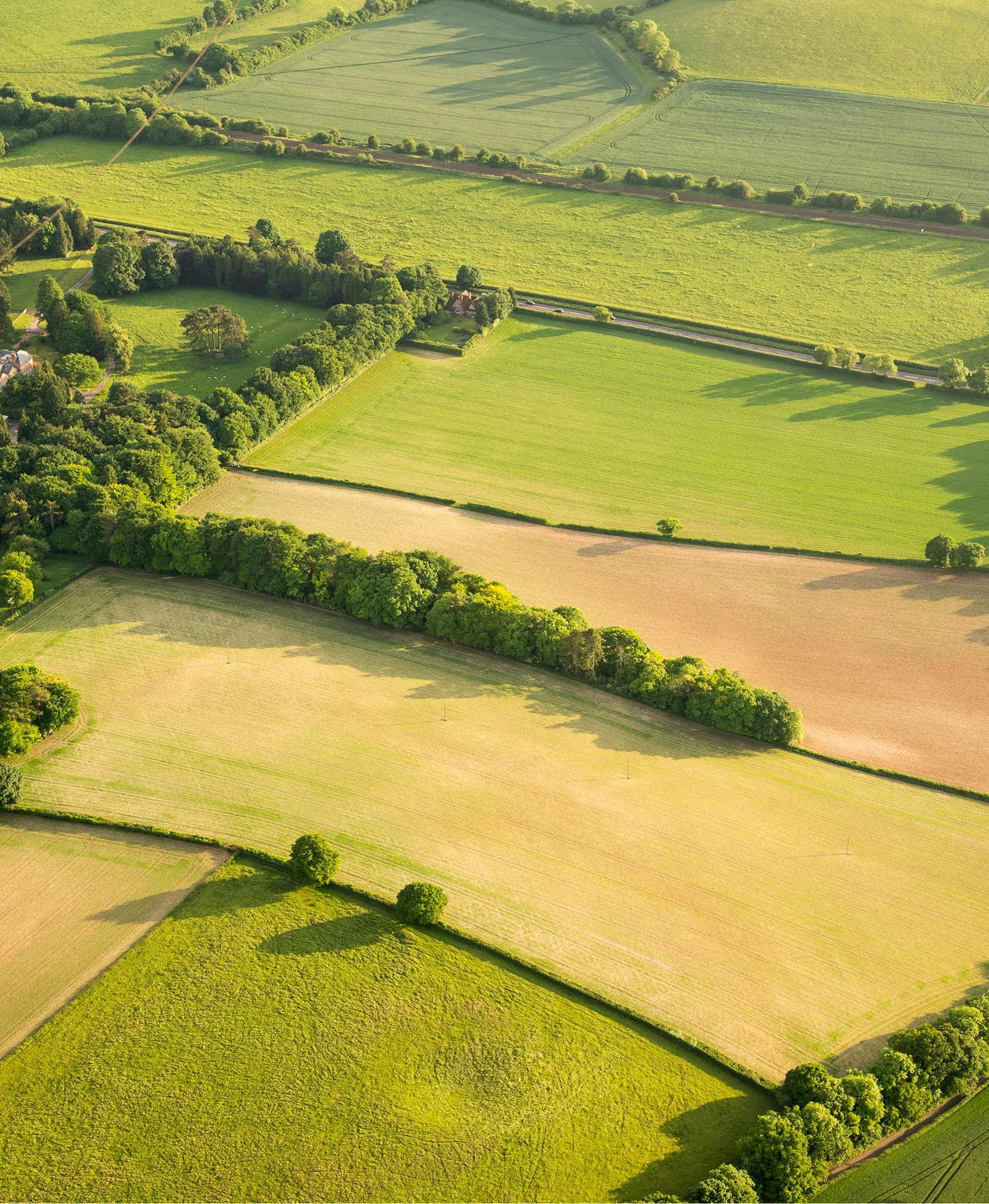 Aerial view of green farmland with fields and tree lines