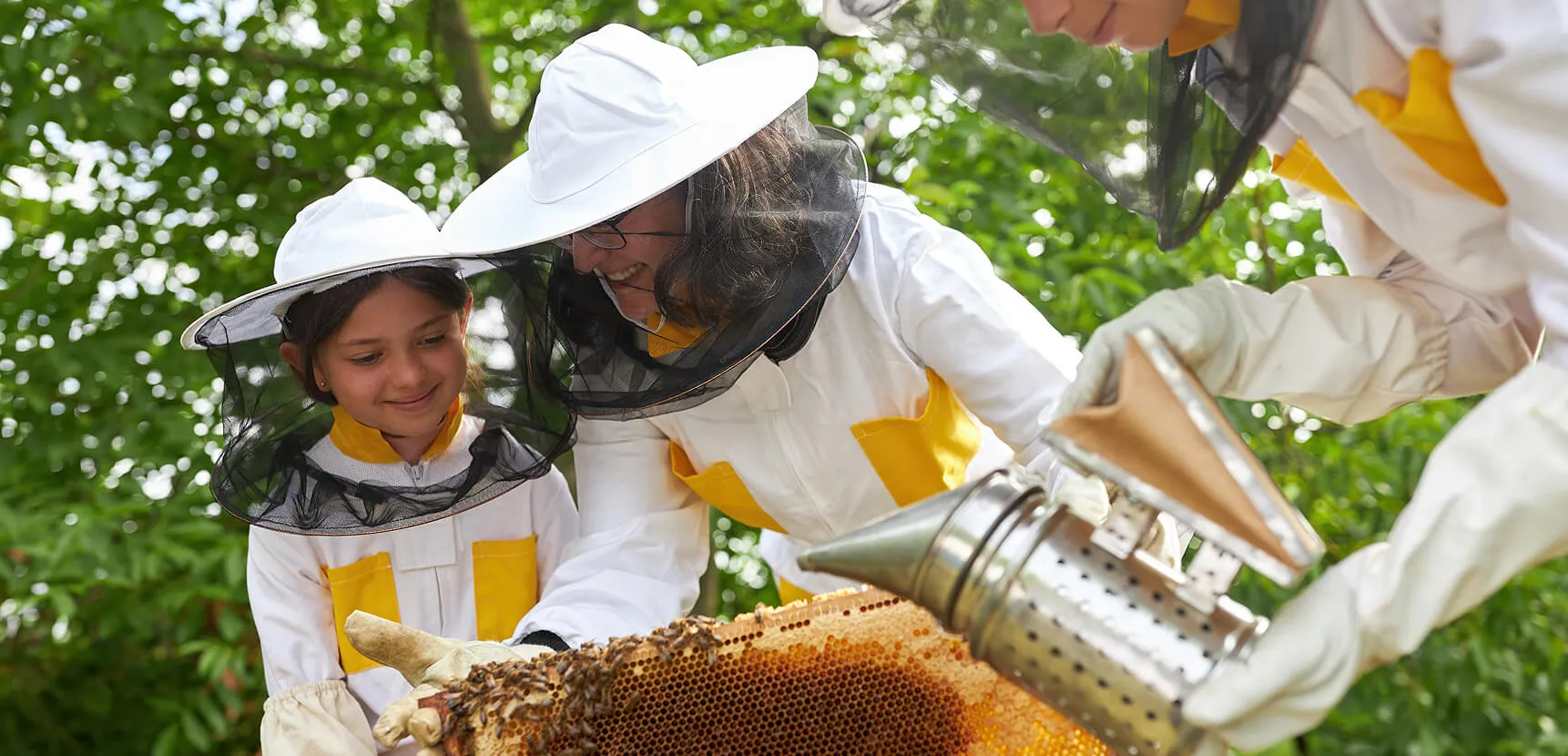 Three adults and a child in bee suits smile while viewing a frame as smoke calms bees