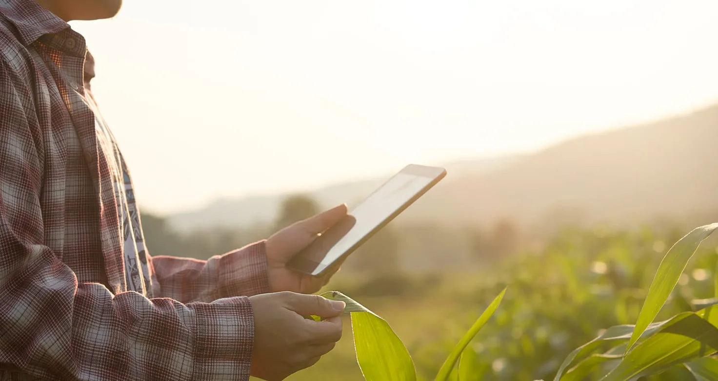 Farmer using a tablet in a crop field