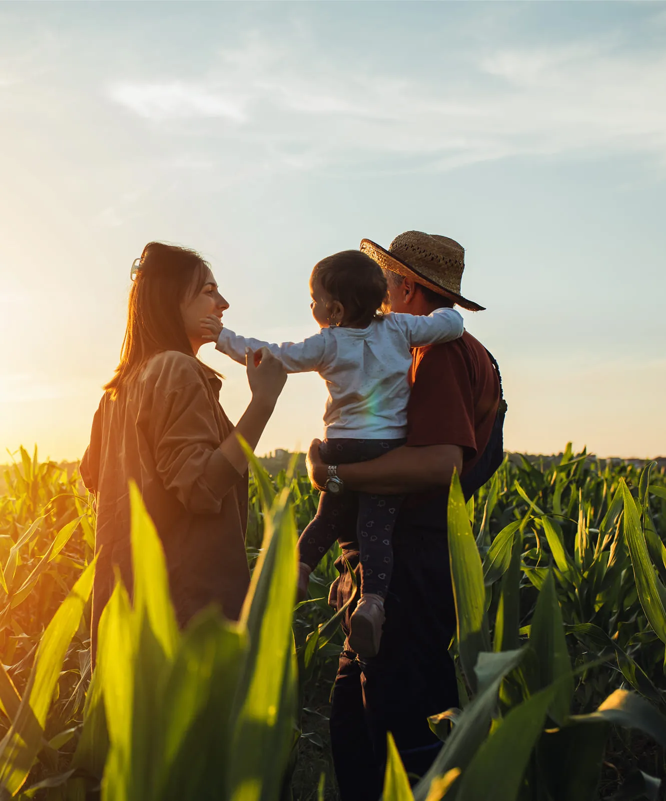 Hands pouring soil over young plants in a field