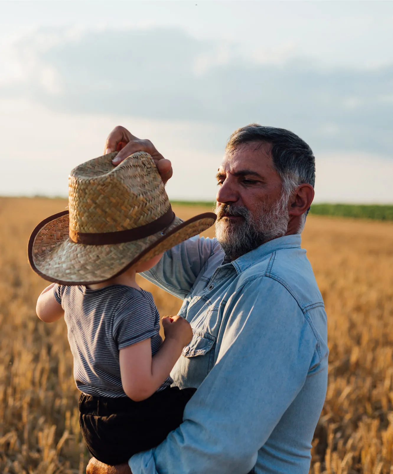 Agricultural landscape at sunset